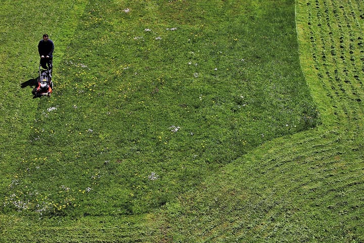 home lawn care